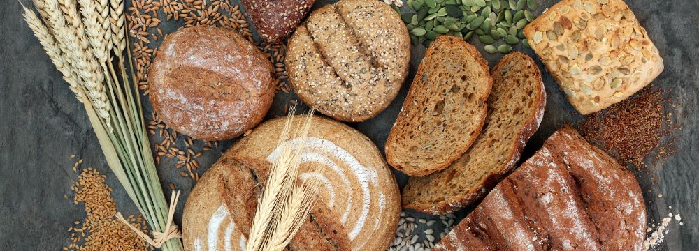 Assortment of fiber sources scattered on table